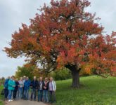 SCS-Senioren Wanderung zur Besenwirtschaft