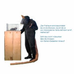 Tote Ratten und Gummibärchen