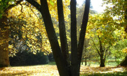 der Herbst ist da- lasst uns kneippen