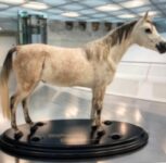 Verlieren die Autos an Schönheit?