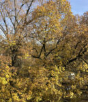 Was heißt schon alt?