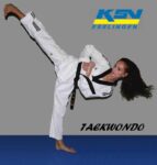 Taekwondo, Respekt- Disziplin,-Zielstrebigkeit.