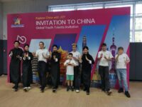 Traditionelles chinesisches Wushu