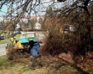 NABU – Arbeitseinsatz für unserer Feldhecke