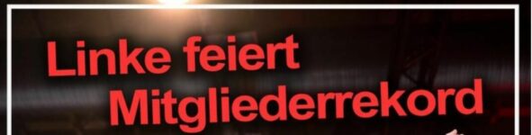 Ein erfolgreiches Jahr für Die Linke