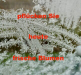 Heilsame Berührung und Kneippsche Waschungen