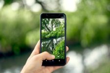 Facettenreiche Angebote