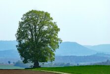 Wanderung von Berkheim ins Körschtal
