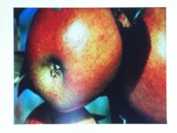 Jahreshauptversammlung des OGV Wäldenbronn