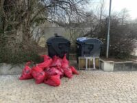 ZuZule macht Bildungsangebote