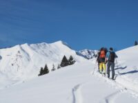 Skitouren zwischen Auerhahn-Rufen und Knödeln