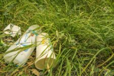 WEIL – putzt! am Samstag 22. März