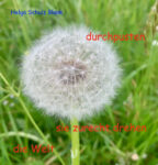 Drehen Sie die Welt um sich selbst