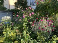 28 Gärten öffnen am 14.06. ihre Törle