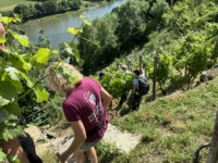 Der Staffelsteiger-Verein unterwegs in Marbach