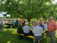 Sommerfest im Vereinsgarten
