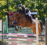 Reitturnier des RFV Esslingen am 27.+28.6.