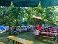 Sommerglühen im Vereinsgarten