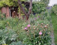 Natur im Garten erleben bei der Gartenkultour
