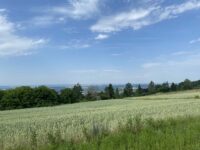 Die Geschäftsstelle macht Sommerpause